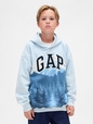 MOUNTAIN PRINT LOGO HOOD