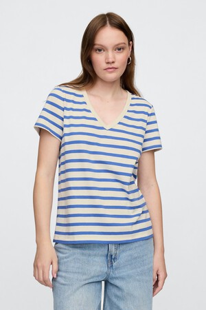 Favorite Stripe V-Neck T-Shirt