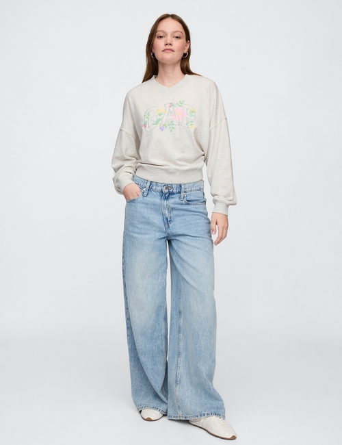 Vintage Soft French Terry Wedge V-Neck Sweatshirt