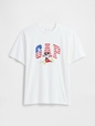 V-DIS AMERICAN