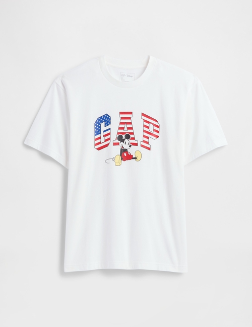 V-DIS AMERICAN