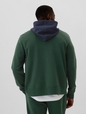 Gap Logo Colorblock Zip Hoodie