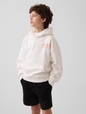 FSH GRAPHIC PO HOOD
