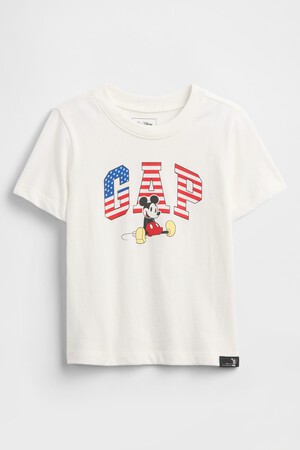V-DISLOGO USA FAM SS GR
