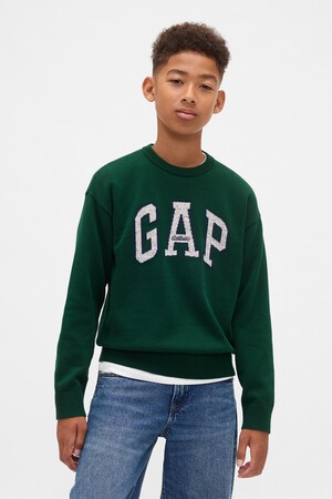 Kids Gap Logo Intarsia Sweater