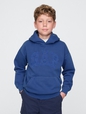 Kids Vintage Soft Arch Logo Hoodie