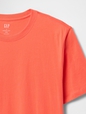 Everyday Soft Crewneck T-Shirt