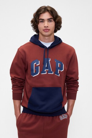Relaxed Gap Logo Colorblock Hoodie