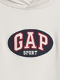 JPN IE FASH LOGO HOOD