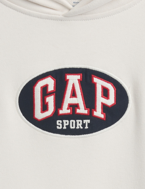 JPN IE FASH LOGO HOOD