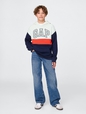 Kids Relaxed Gap Logo Colorblock Hoodie