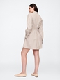 Stripe Poplin Mini Shirtdress