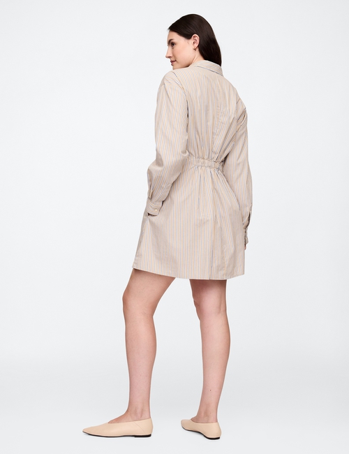 Stripe Poplin Mini Shirtdress