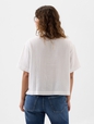 V-SS POPOVER T