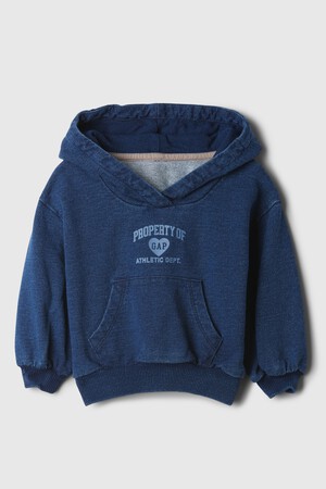 babyGap Vintage Soft Logo Hoodie