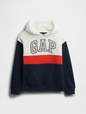 Kids Relaxed Gap Logo Colorblock Hoodie