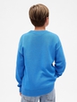 Kids Relaxed Crewneck Sweater