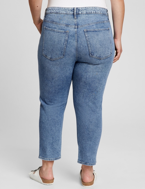 Mid Rise Distressed Universal Slim Boyfriend Jeans
