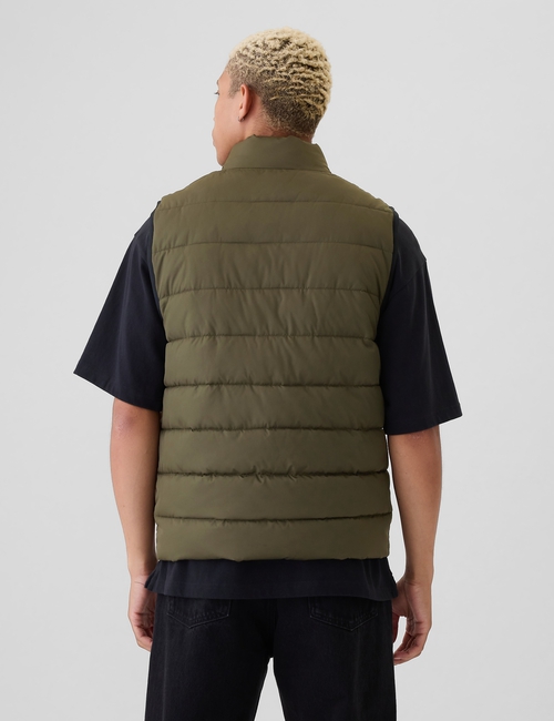 ColdControl Puffer Vest