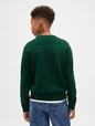 Kids Gap Logo Intarsia Sweater