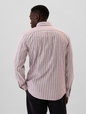 Oxford Shirt in Standard Fit
