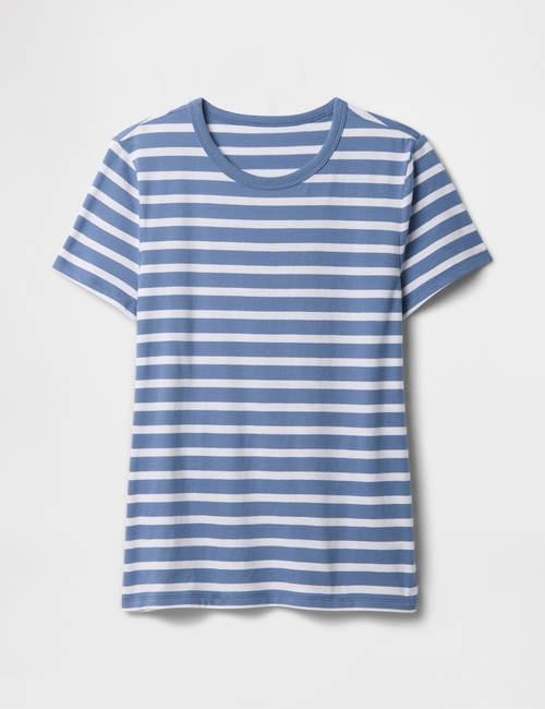 Favorite Stripe Crewneck T-Shirt