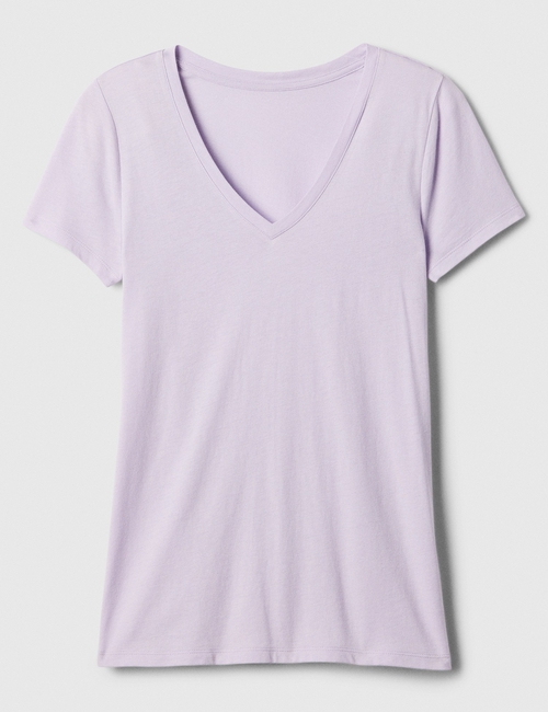Favorite V-Neck T-Shirt