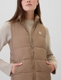 ColdControl Puffer Vest