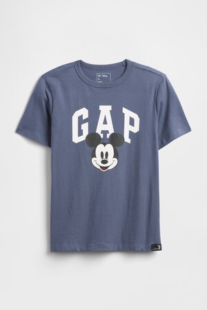 V-DIS FAM FALL LOGO TEE