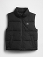 V-FRCH LW LOGO VEST