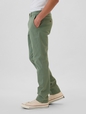 Modern Khakis in Slim Fit with GapFlex