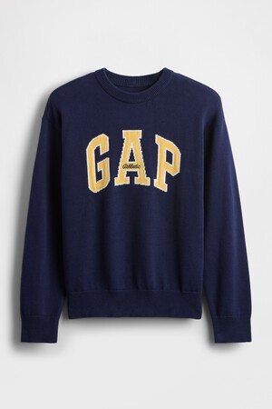 Kids Gap Logo Intarsia Sweater