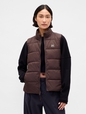 ColdControl Puffer Vest