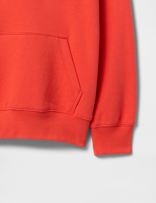 Kids Vintage Soft Logo Hoodie