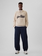 Vintage Soft Gap Logo Pullover