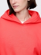 VintageSoft Cropped Logo Hoodie