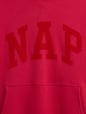 VintageSoft NAP Logo Hoodie