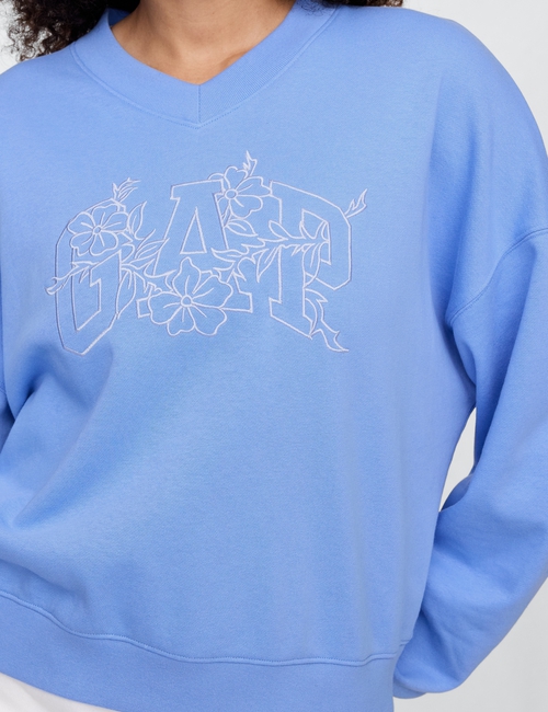 Vintage Soft French Terry Wedge V-Neck Sweatshirt