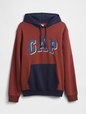 Relaxed Gap Logo Colorblock Hoodie