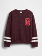 CREW GRAPHIC SWEATER