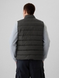 ColdControl Puffer Vest
