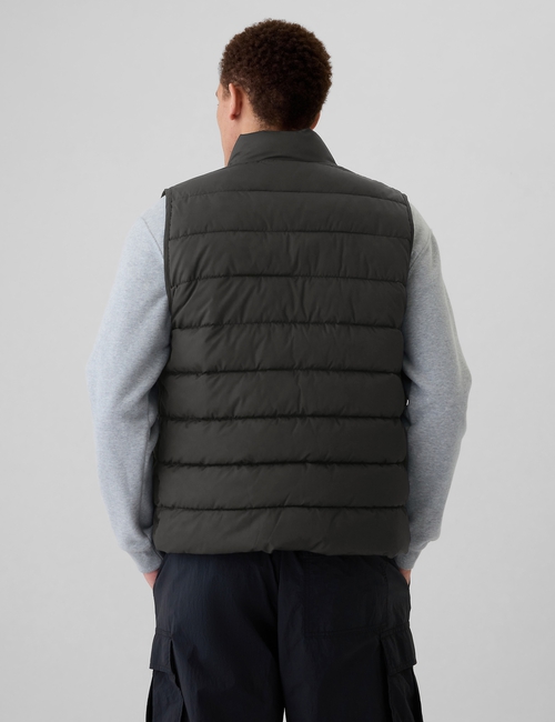 ColdControl Puffer Vest