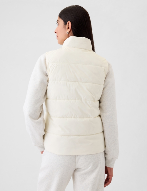 ColdControl Puffer Vest