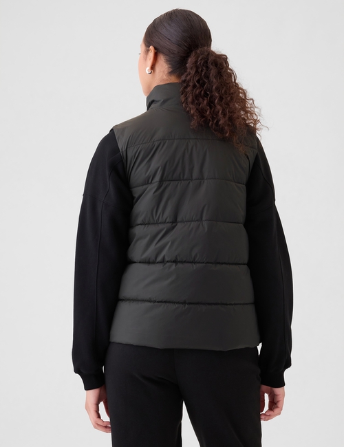 ColdControl Puffer Vest