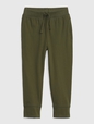 Toddler Mix and Match Pull-On Pants