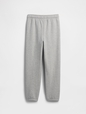 V-DIS FAM FALL LOGO JOGGER