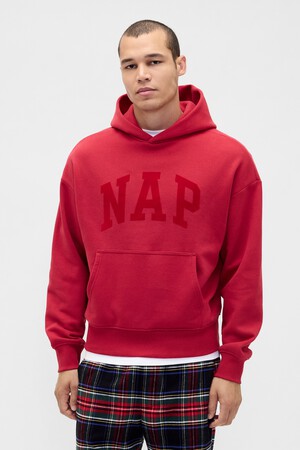 NAP LOGO PO HD
