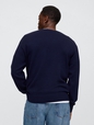 V-FLAG SWEATER