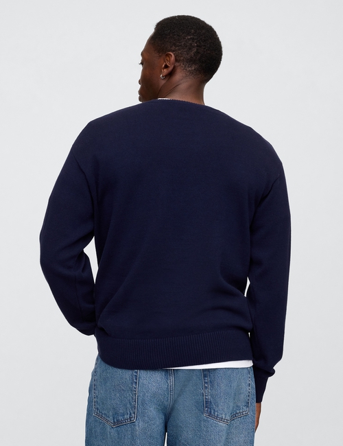 V-FLAG SWEATER
