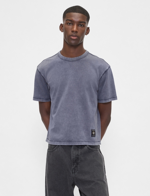 SS WORLD STANDARD CROPPED LOGO T